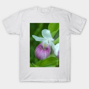 Showy Lady's Slipper T-Shirt